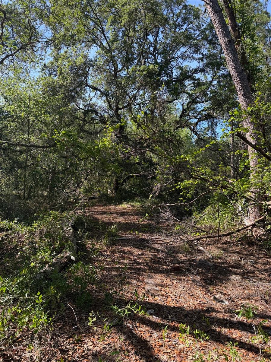 Tbd 114 Ave Road, FL