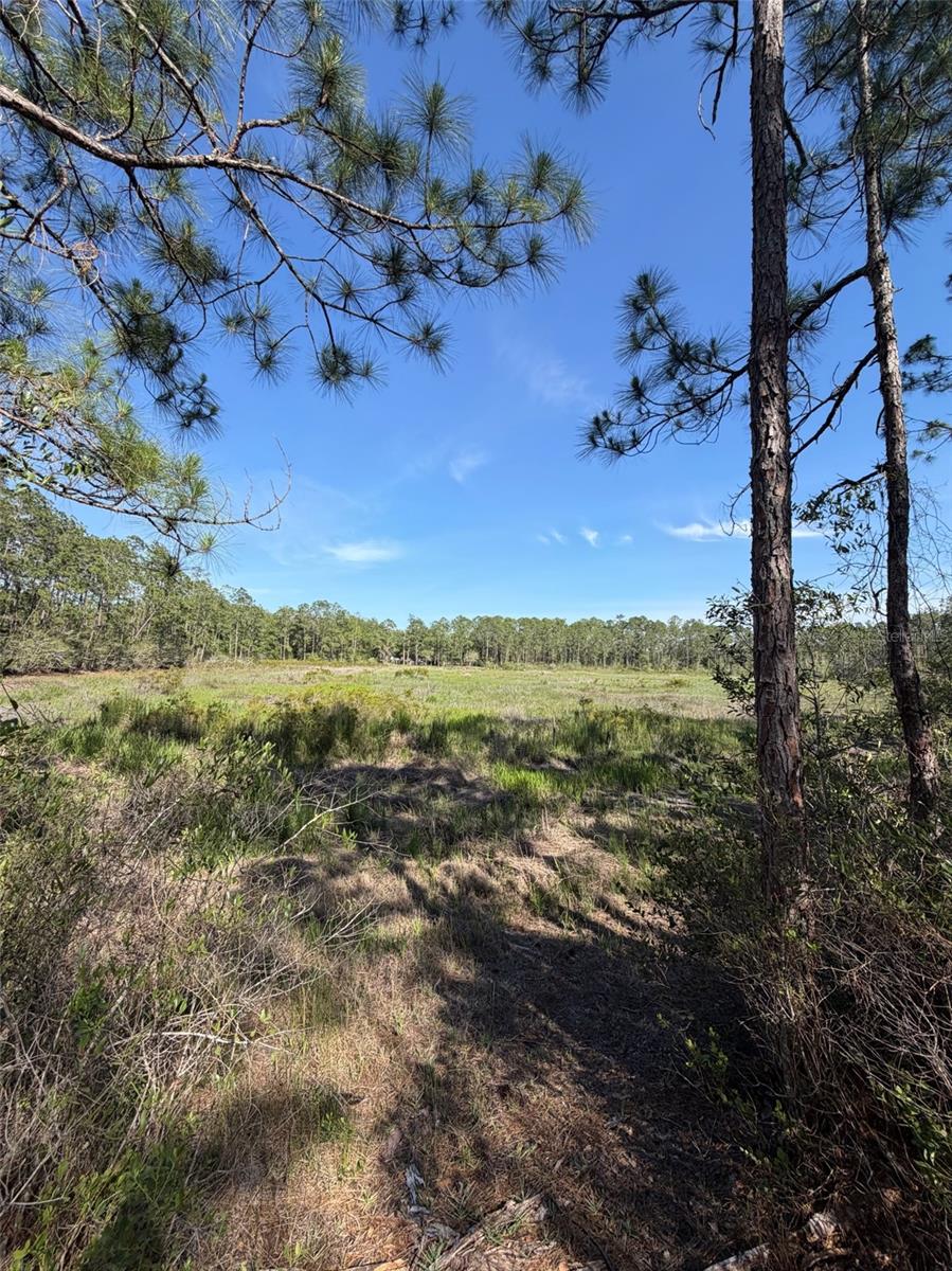 Tbd 114 Ave Road, FL