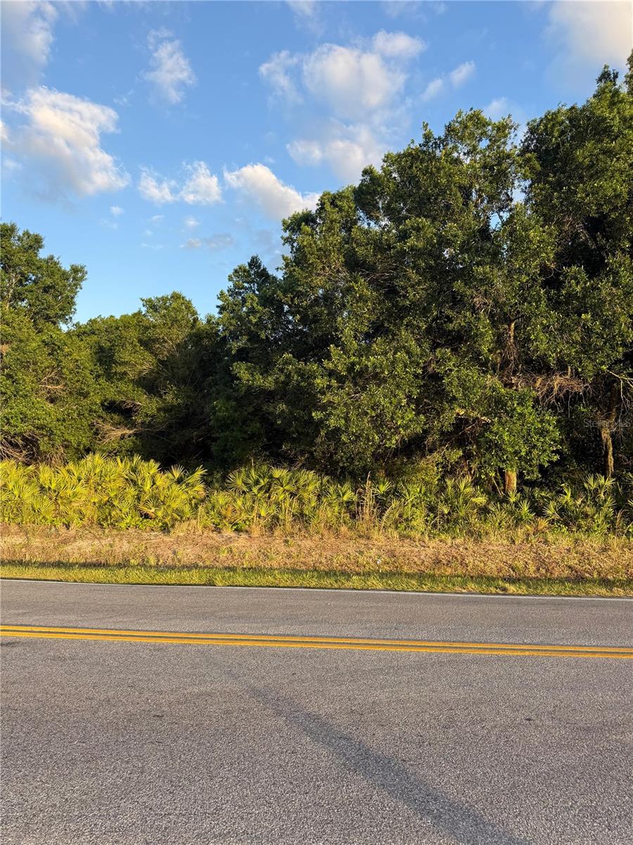 0 Alturas Babson Park Cutoff Road, FL