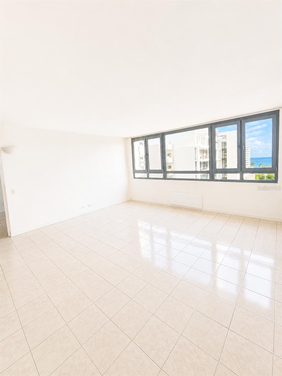 1452 Magdalena Ave, PR