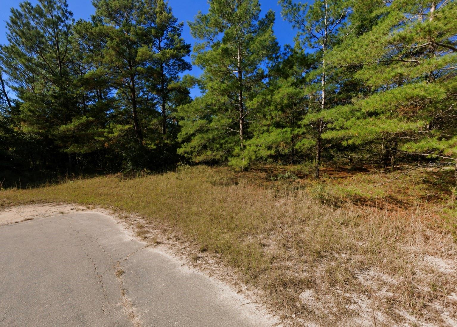 Ortega Court, FL
