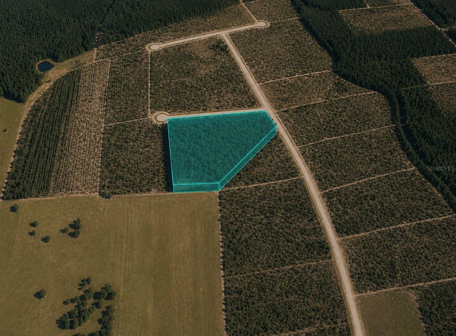 Unassigned, FL