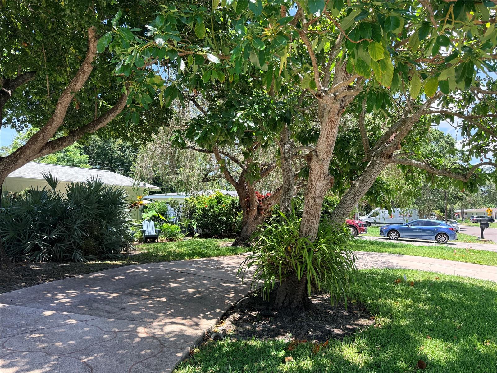 1479 Evergreen Avenue, FL
