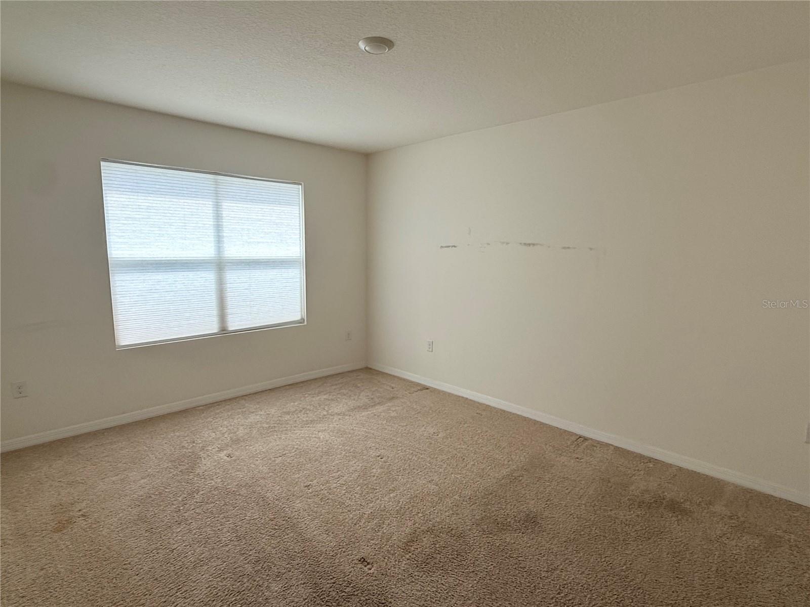 2916 Sunridge Loop, FL