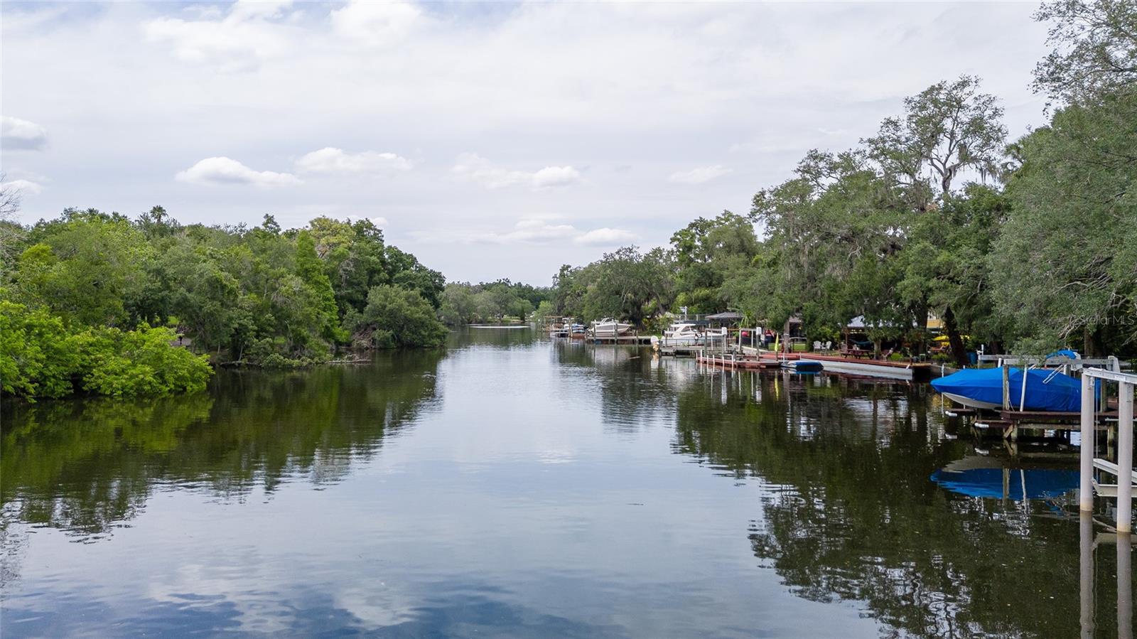7308 Ola Avenue, FL