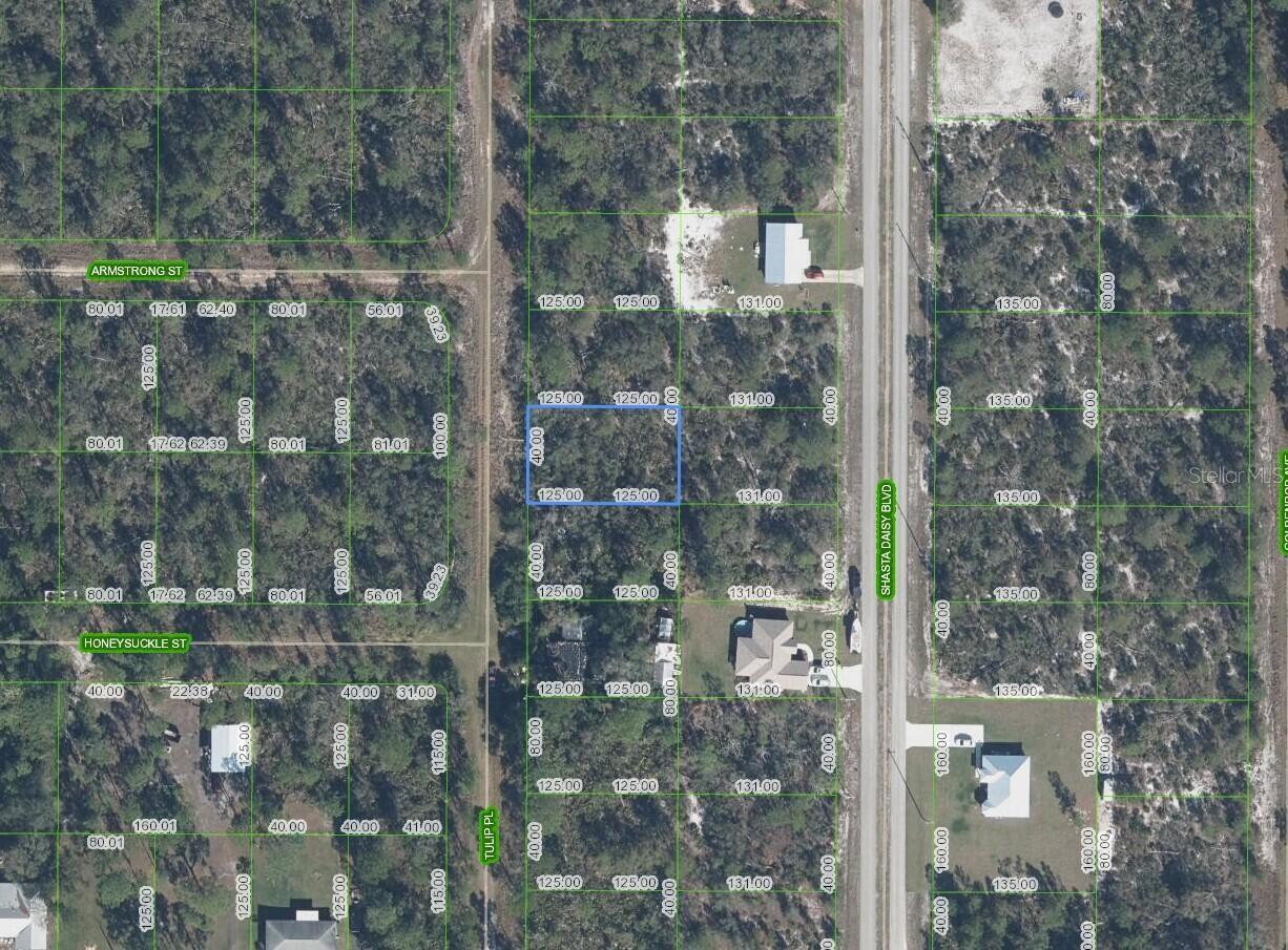 7020 Tulip Place, FL