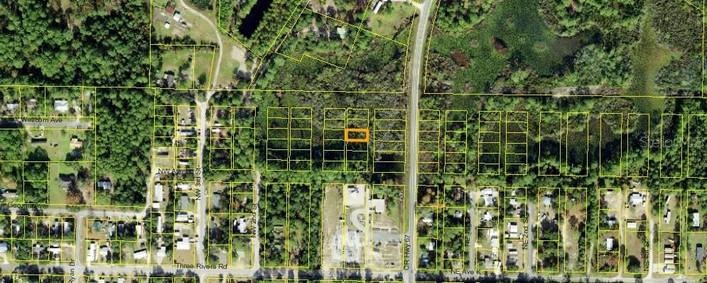 1307 Copesetic Street, FL