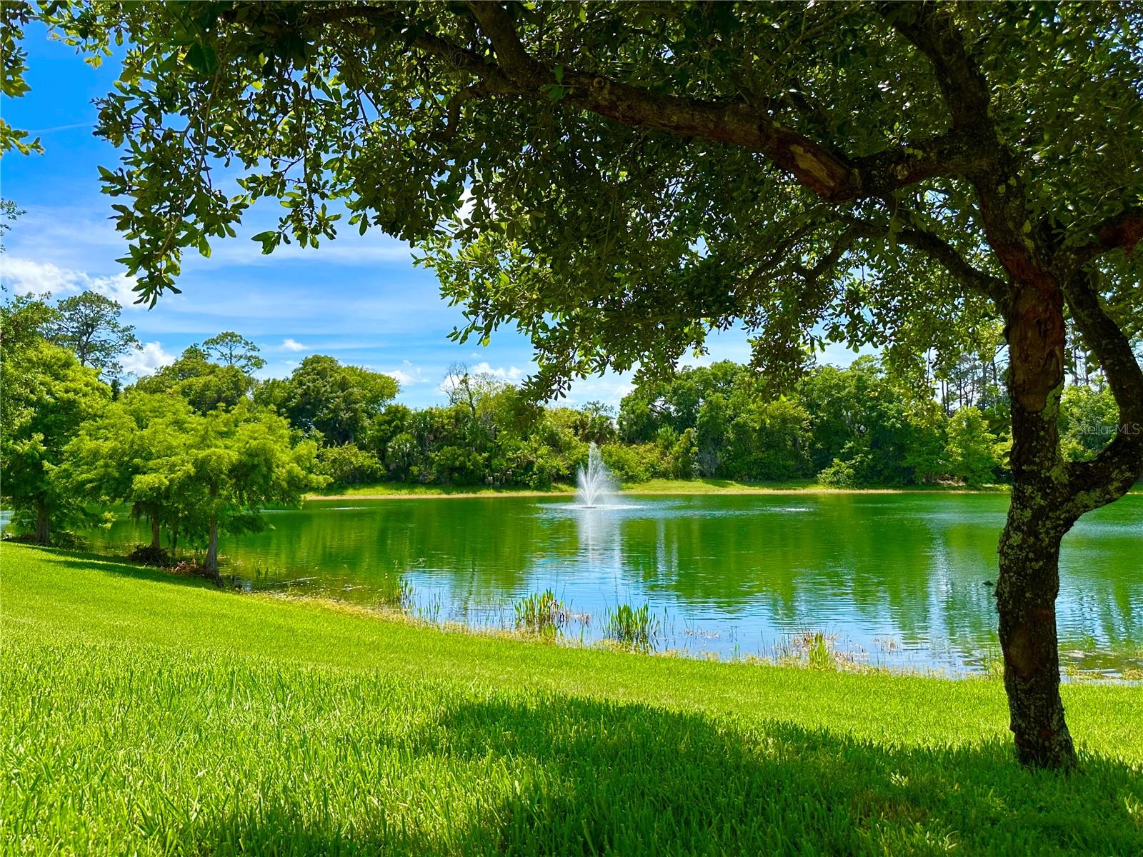 60 Riverview Bend, FL