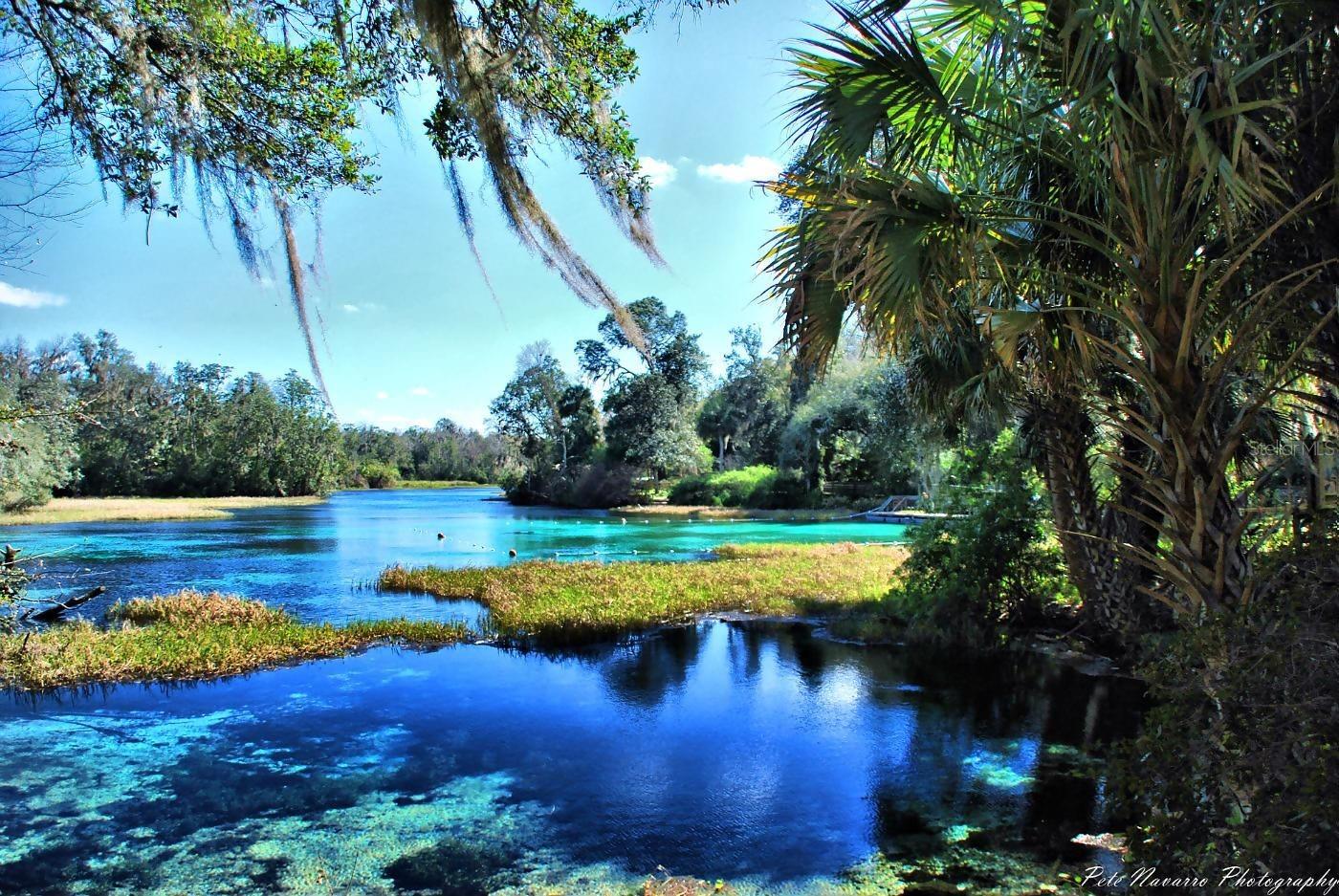 699 Hallam, FL