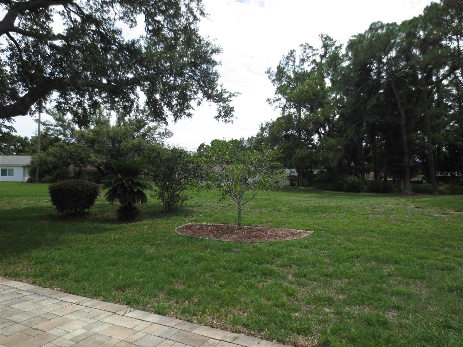 3132 Brunswick Circle, FL