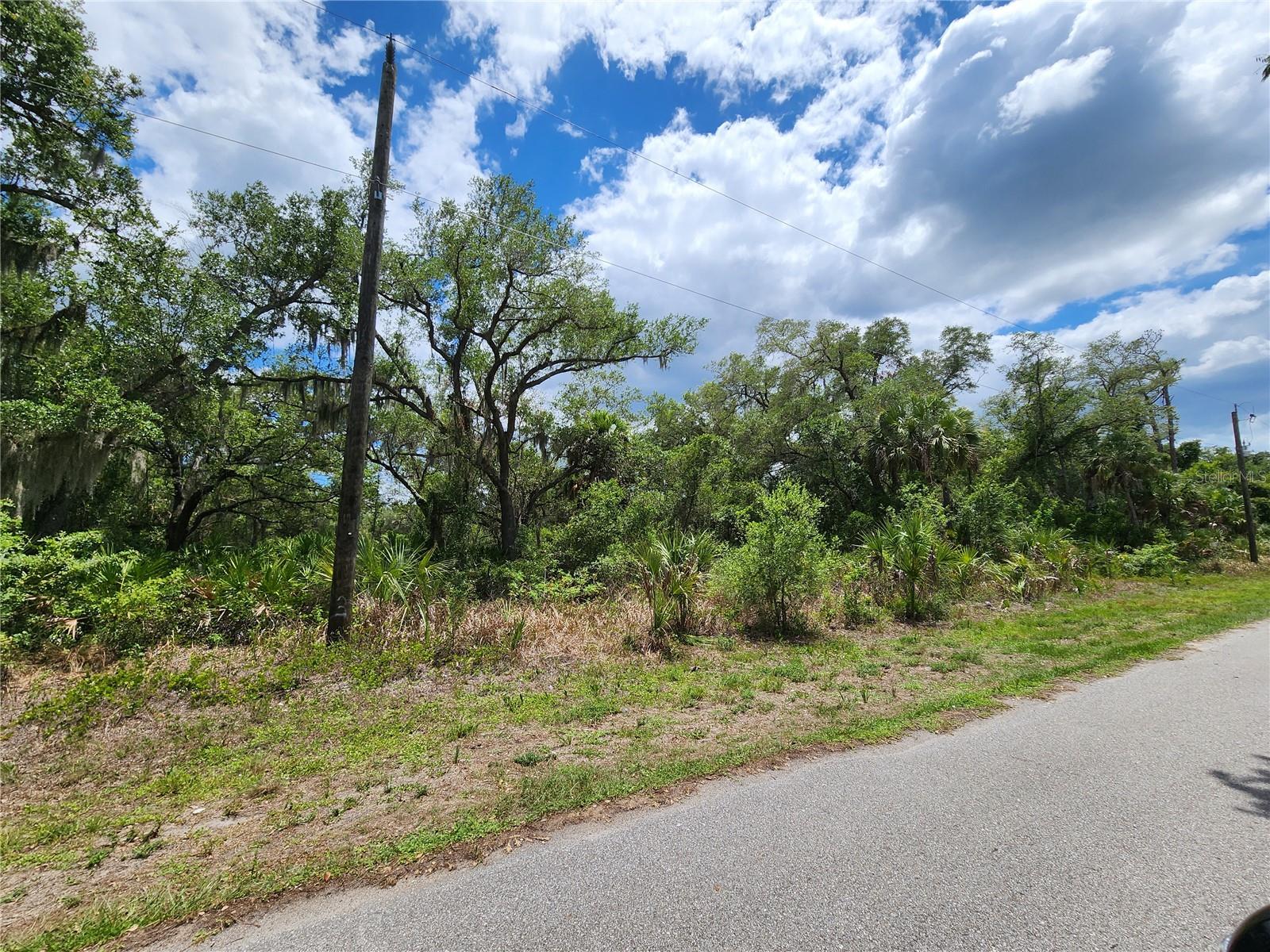 13397 Leatherbury Avenue, FL