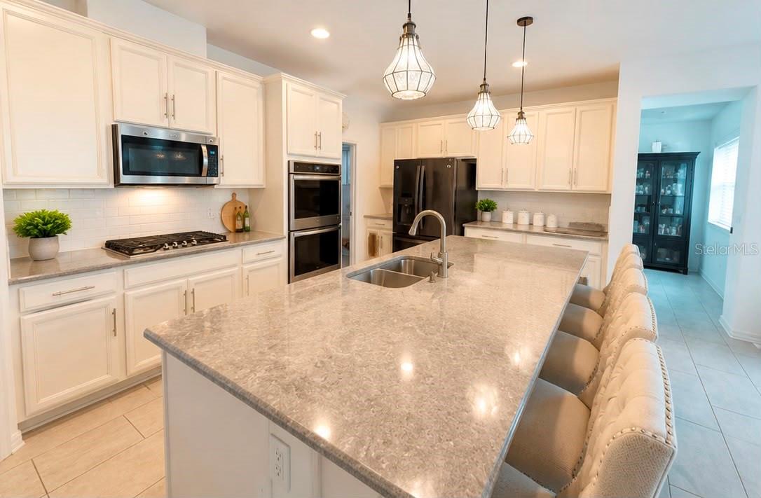 2822 Bigleaf Maple Drive, FL