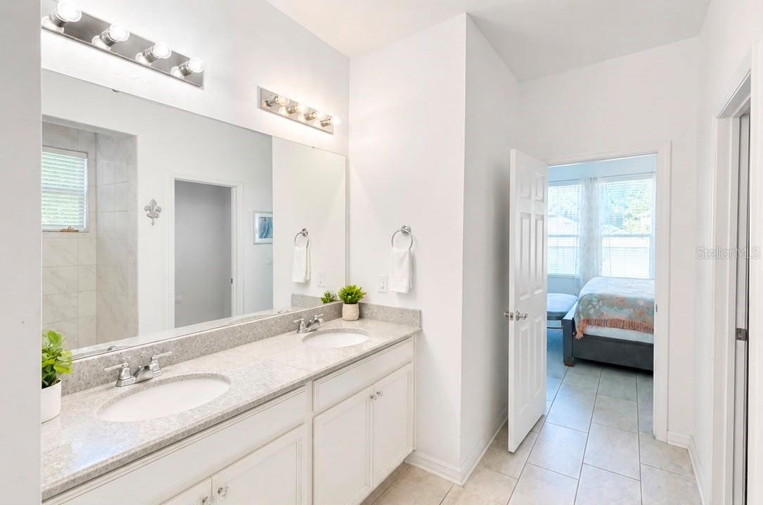 2822 Bigleaf Maple Drive, FL