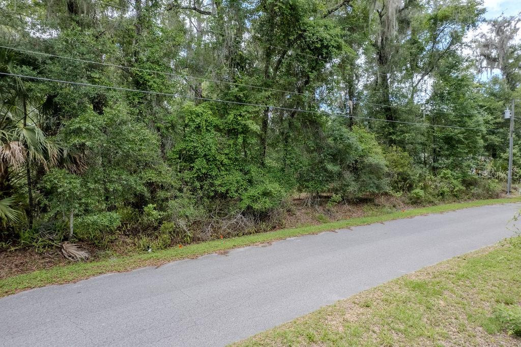 Lot 6 186 Circle, FL