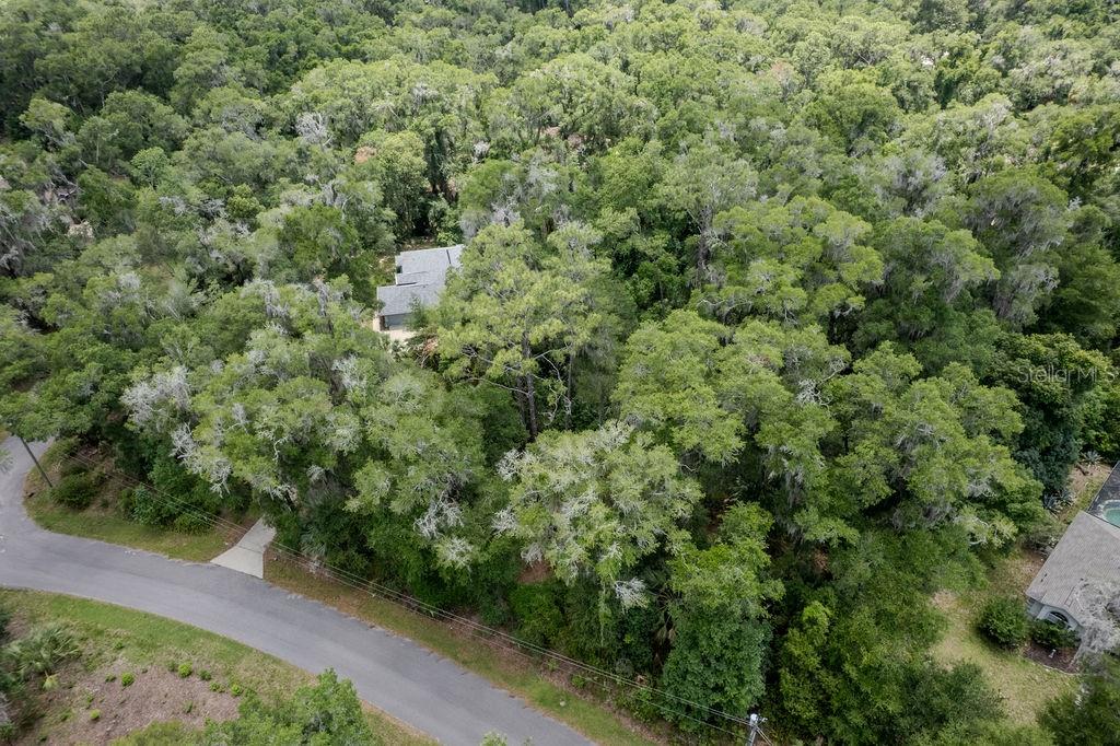 Lot 6 186 Circle, FL
