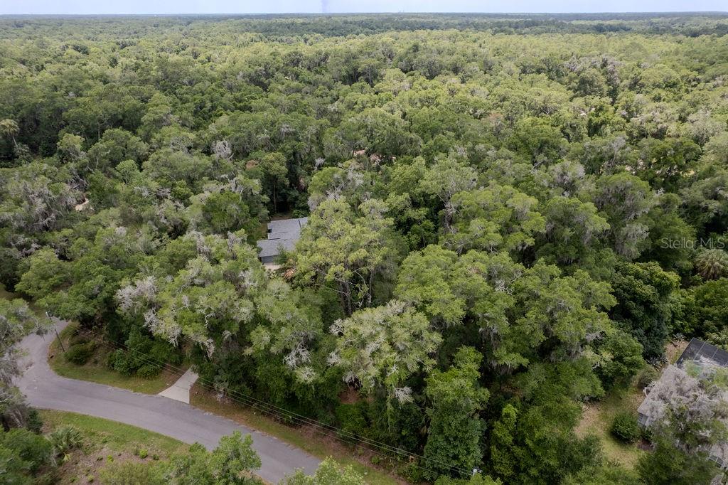 Lot 6 186 Circle, FL