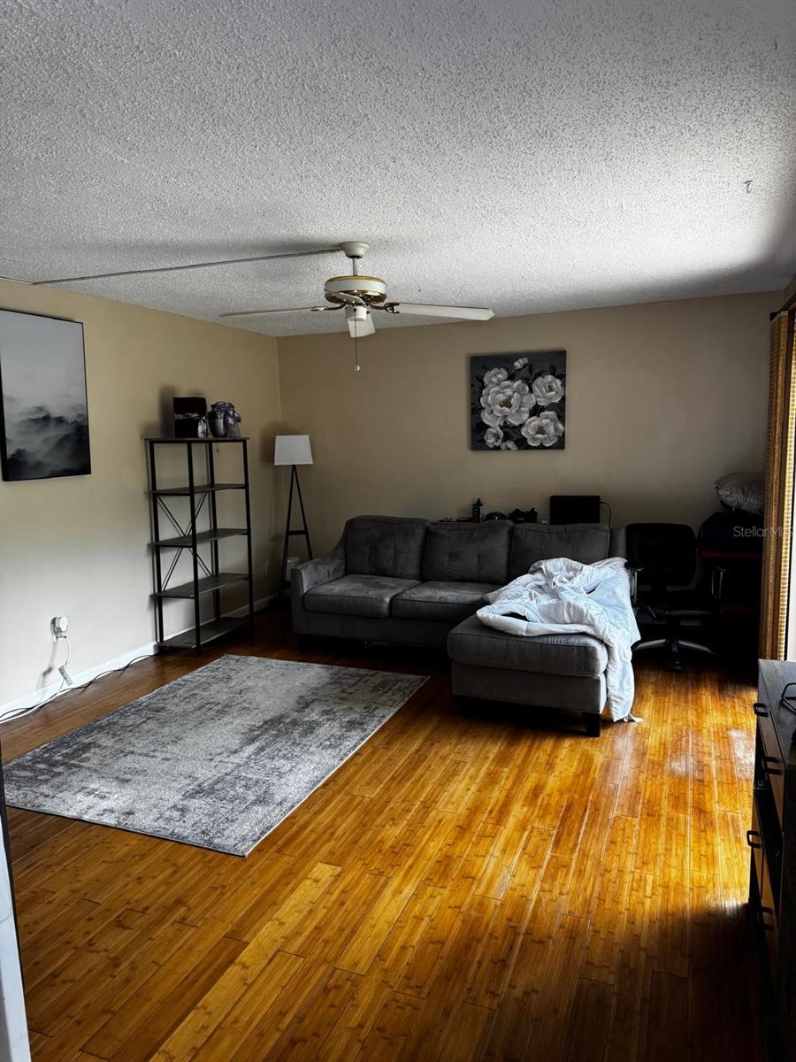 1302 Nebraska Avenue, FL