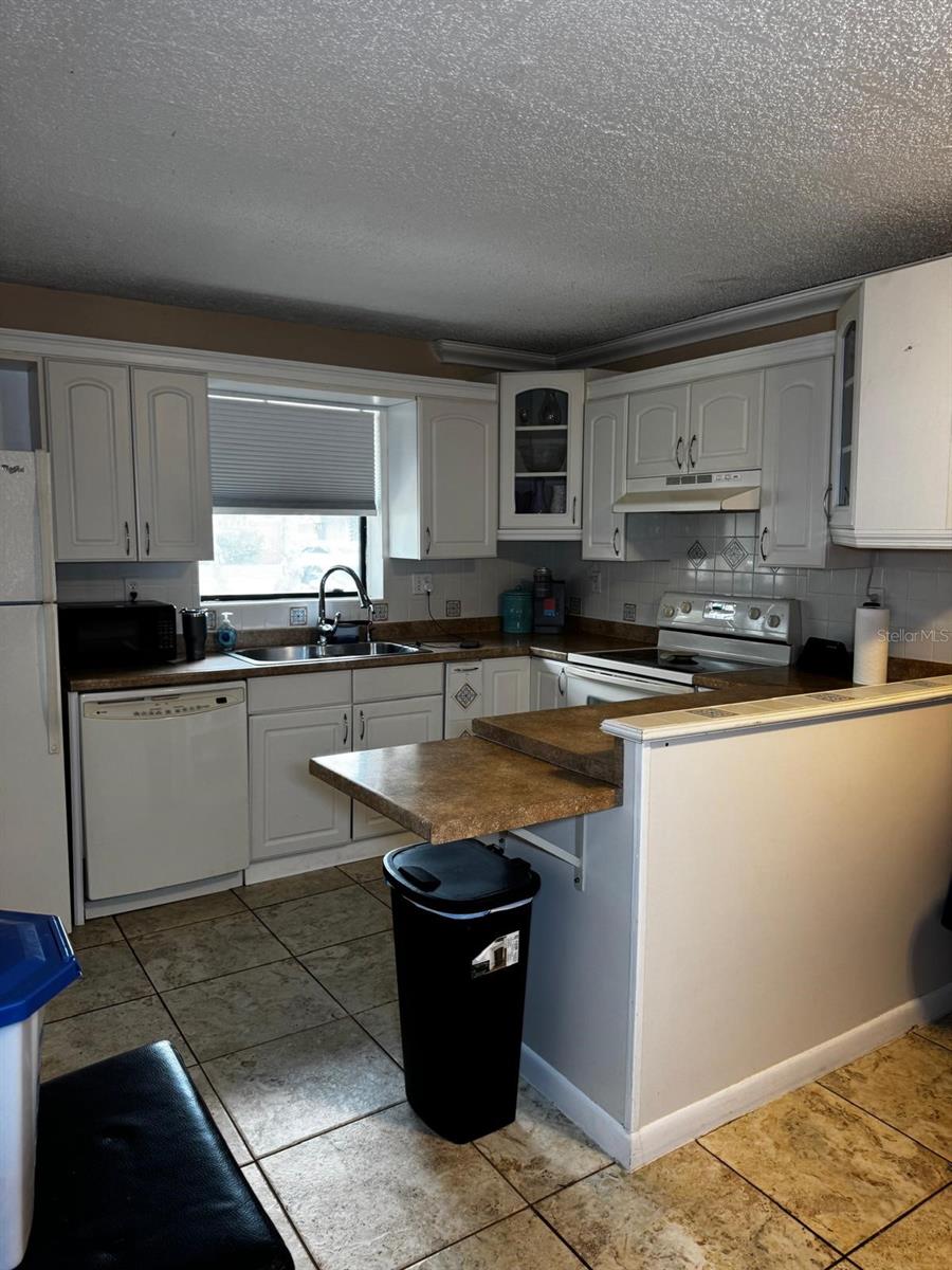 1302 Nebraska Avenue, FL