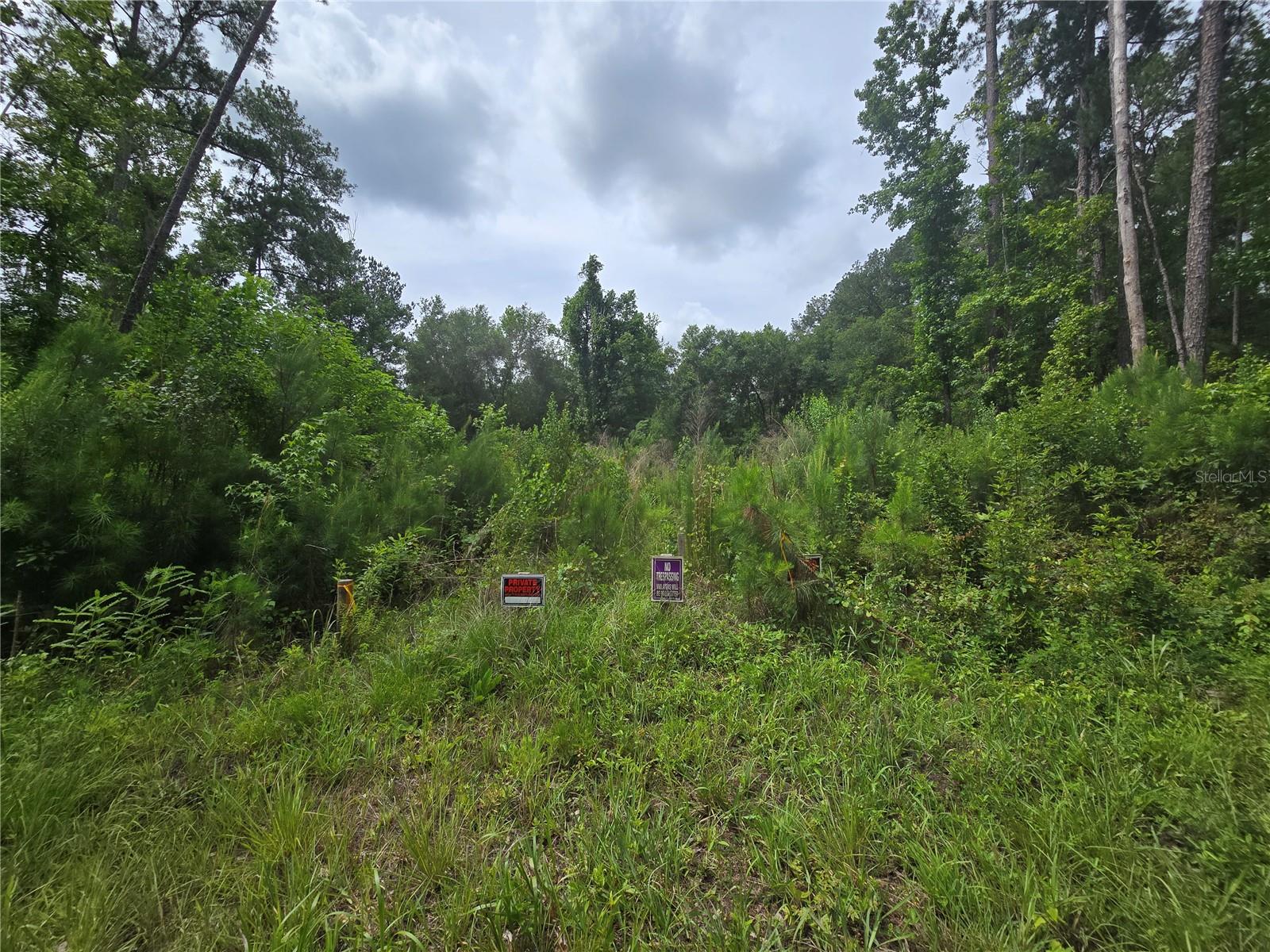 316 Sequoia Drive, FL