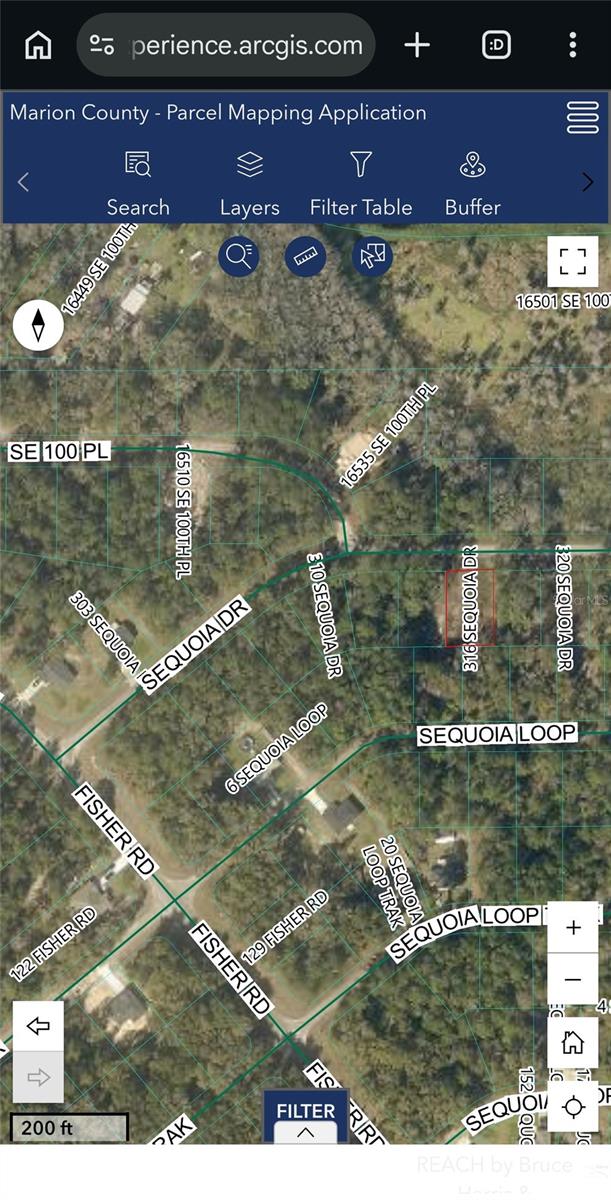 316 Sequoia Drive, FL