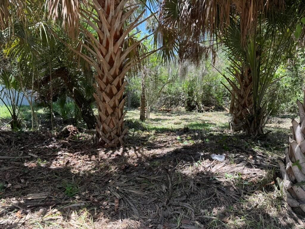110 Oak Street, FL