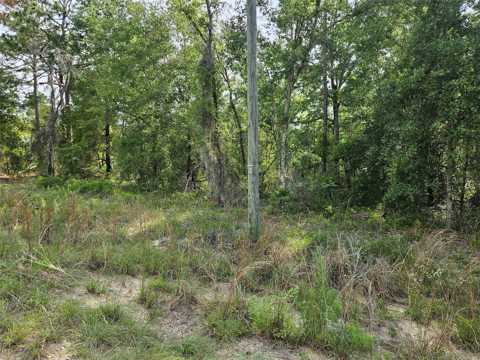 Tbd 153rd Avenue, FL