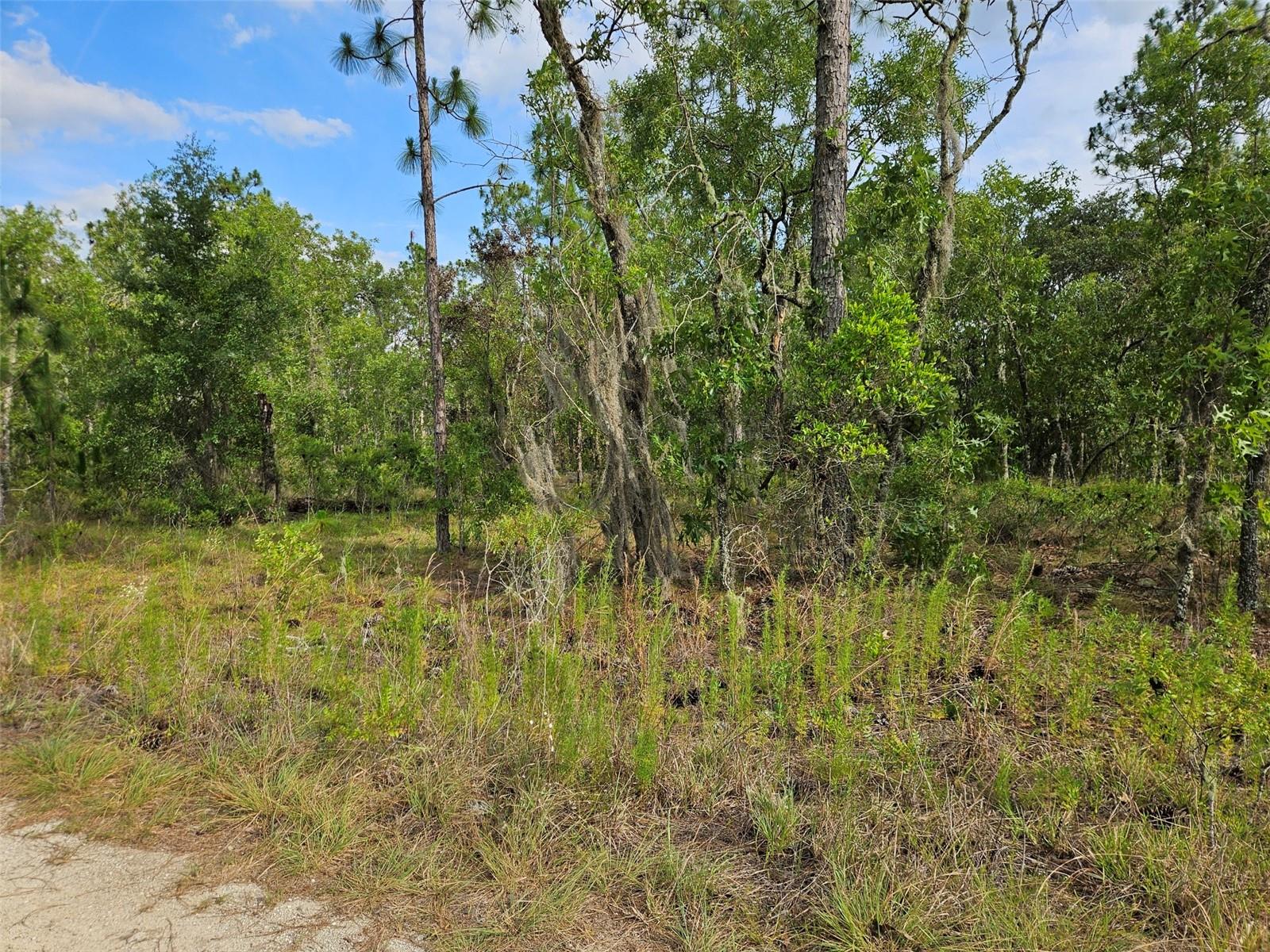 Tbd 12th Lane, FL