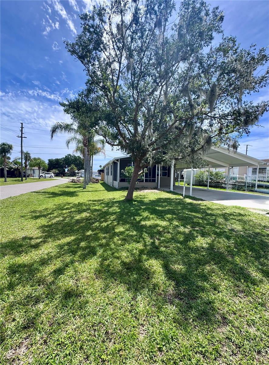 4385 Maple Avenue, FL