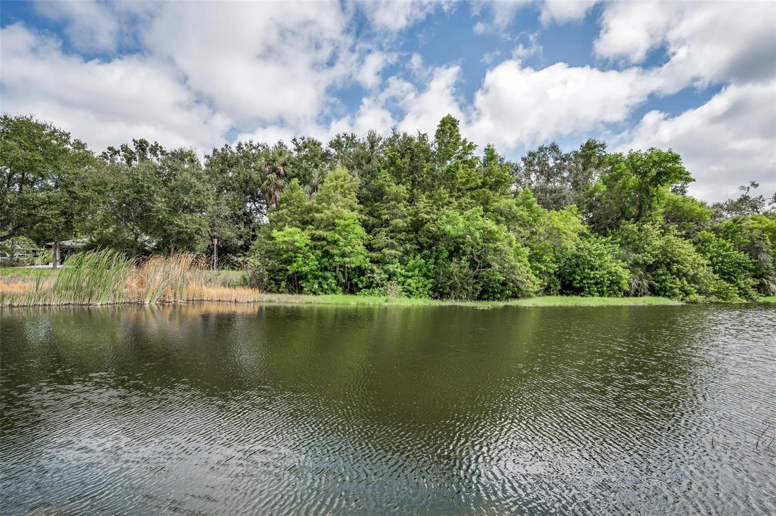 1400 Water View Drive, FL