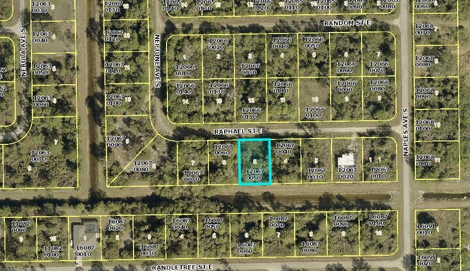 1238 Raphael St E, FL