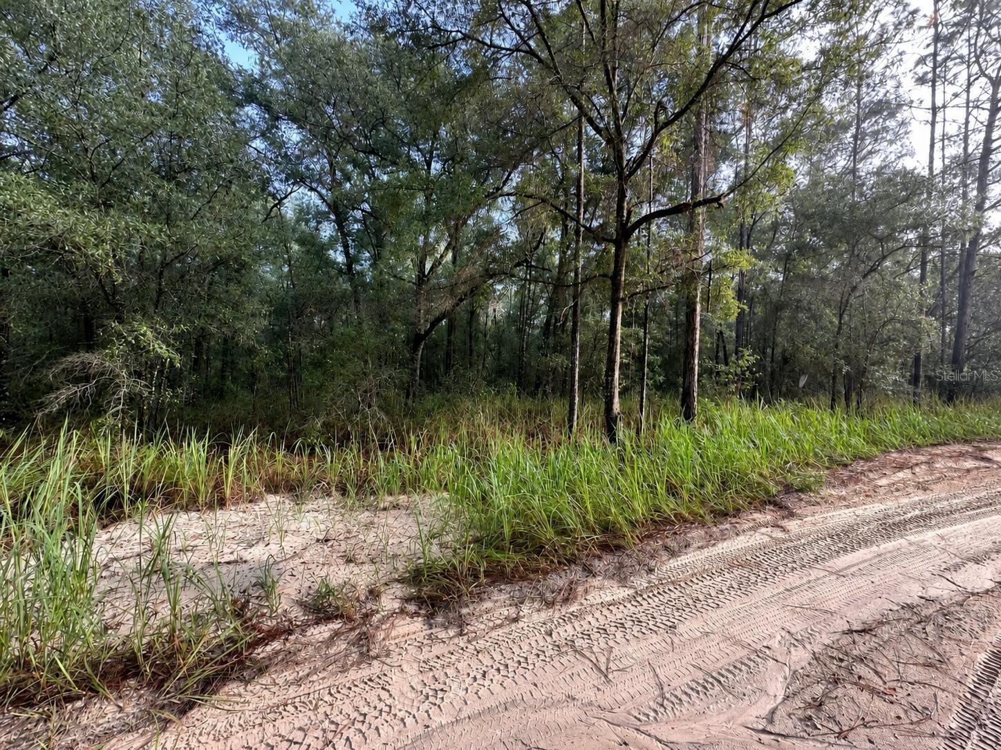 15649 40th Street, FL