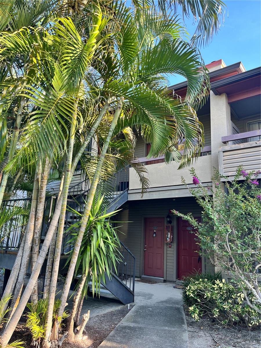 10263 Gandy Boulevard, FL