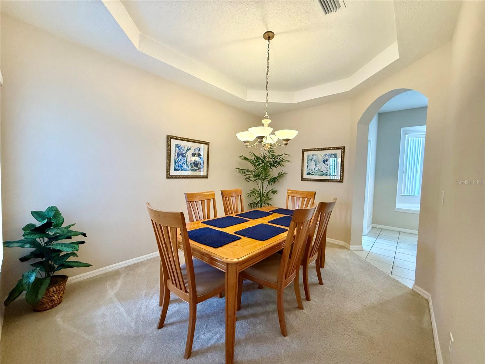 113 Plumoso Loop, FL