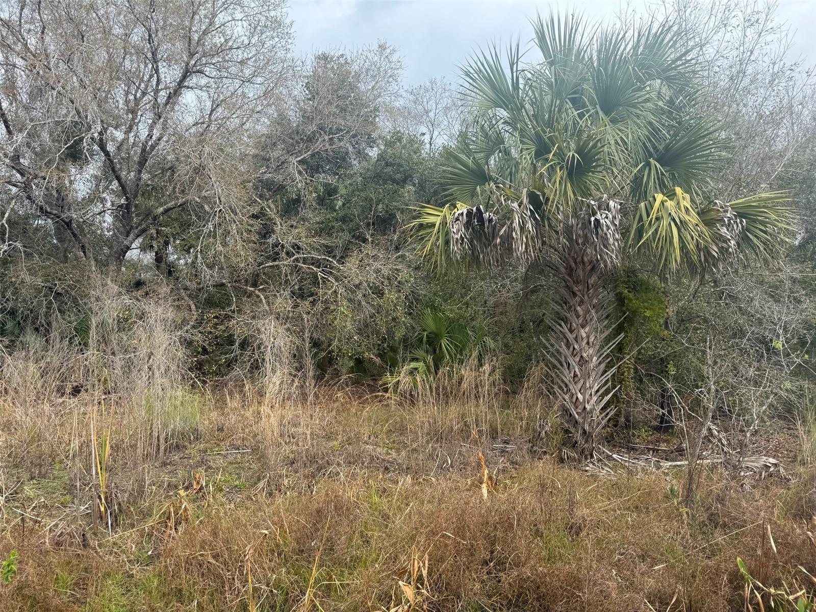 17667 254th Street, FL