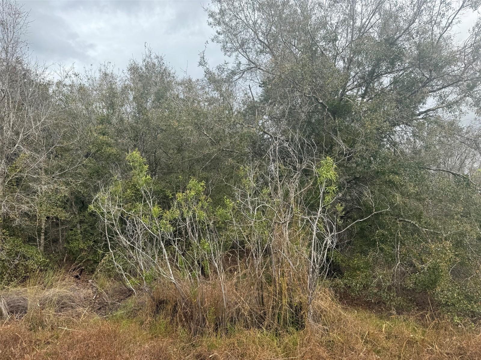17667 254th Street, FL