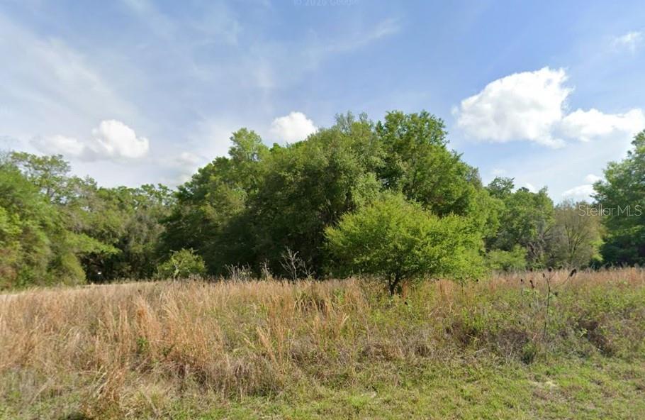 7995 Walton Terrace, FL