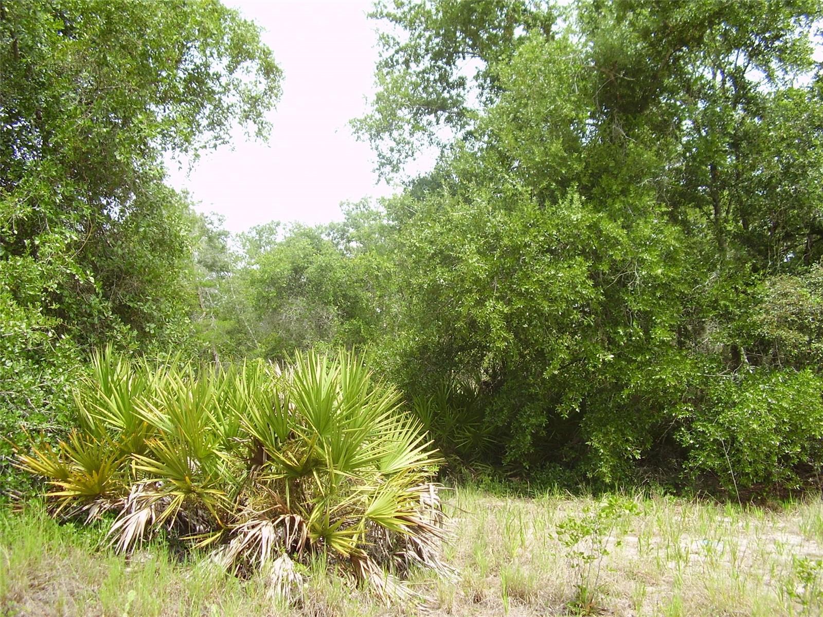1457 Kissimmee Way, FL