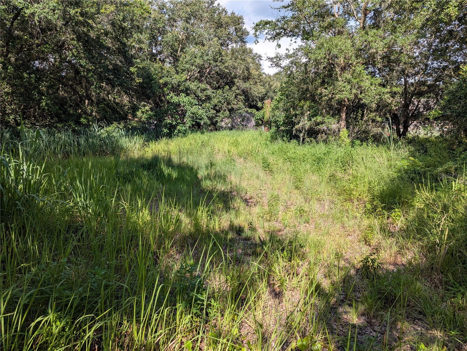 6631 Merle Street, FL
