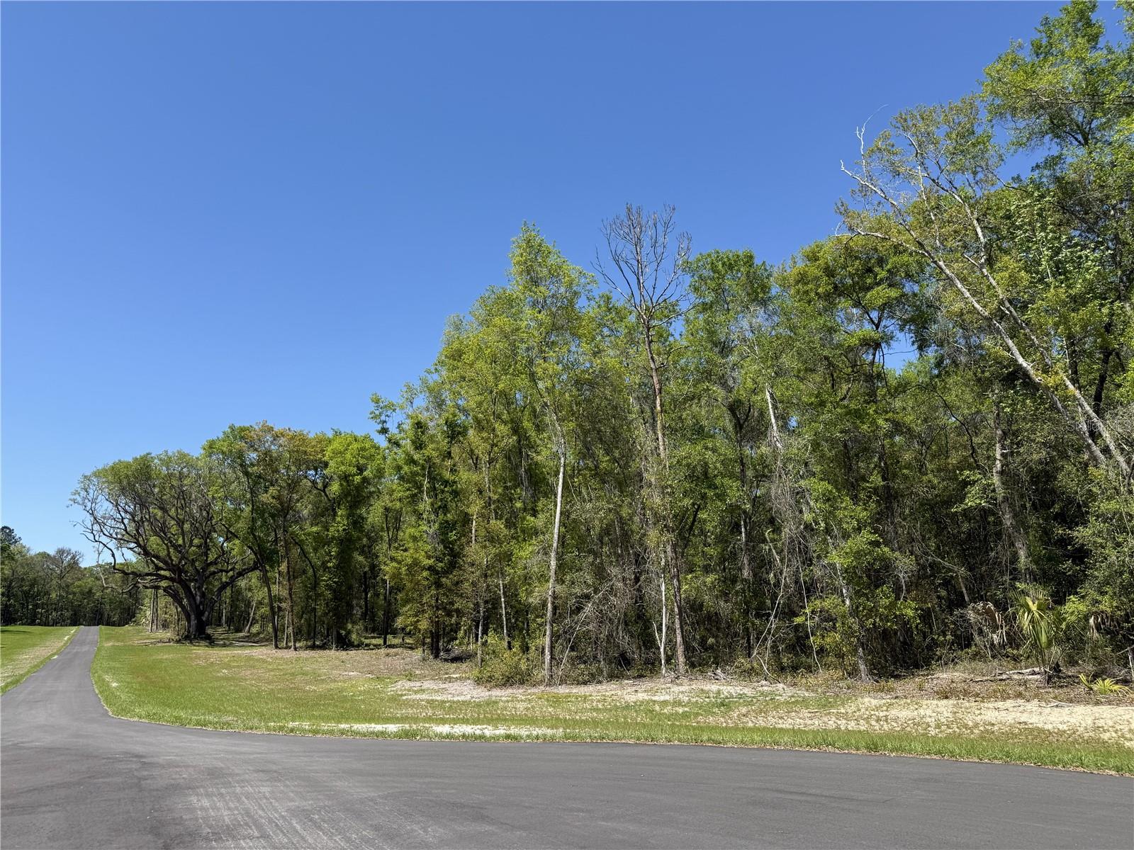 Irvine Acres #5 (13ac) Hwy 318, FL