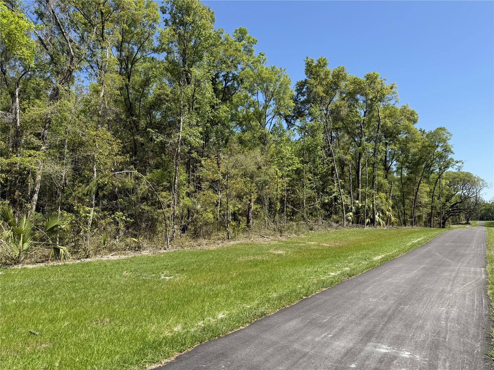 Irvine Acres #5 (13ac) Hwy 318, FL