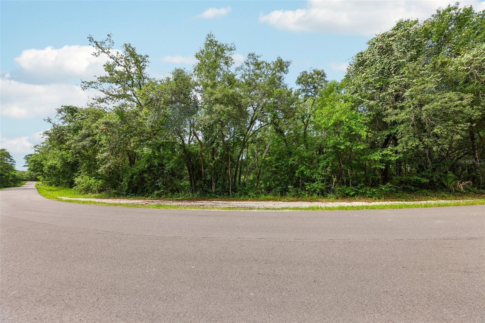 33340 Tombstone St, FL