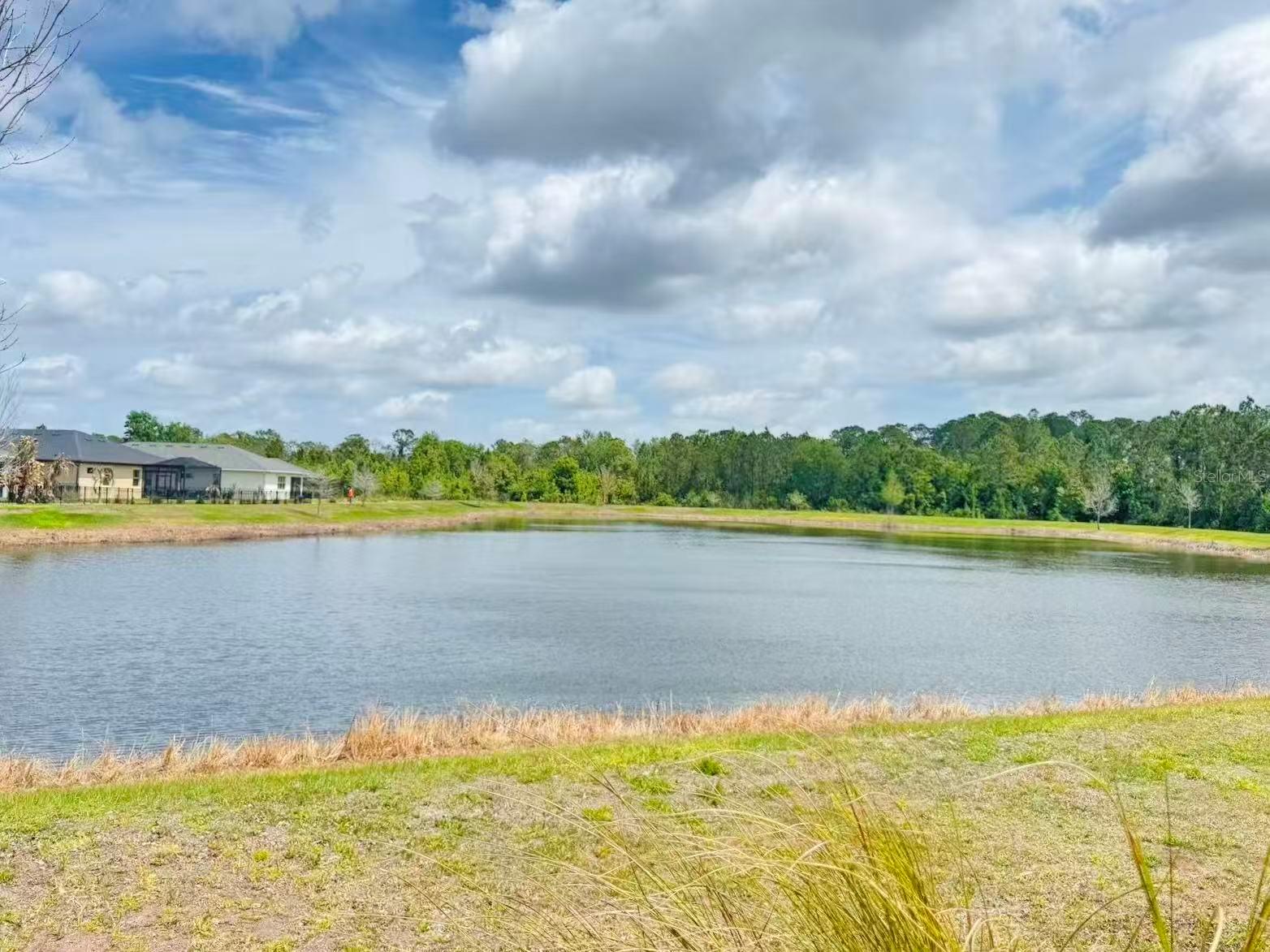3434 Sagebrush Street, FL