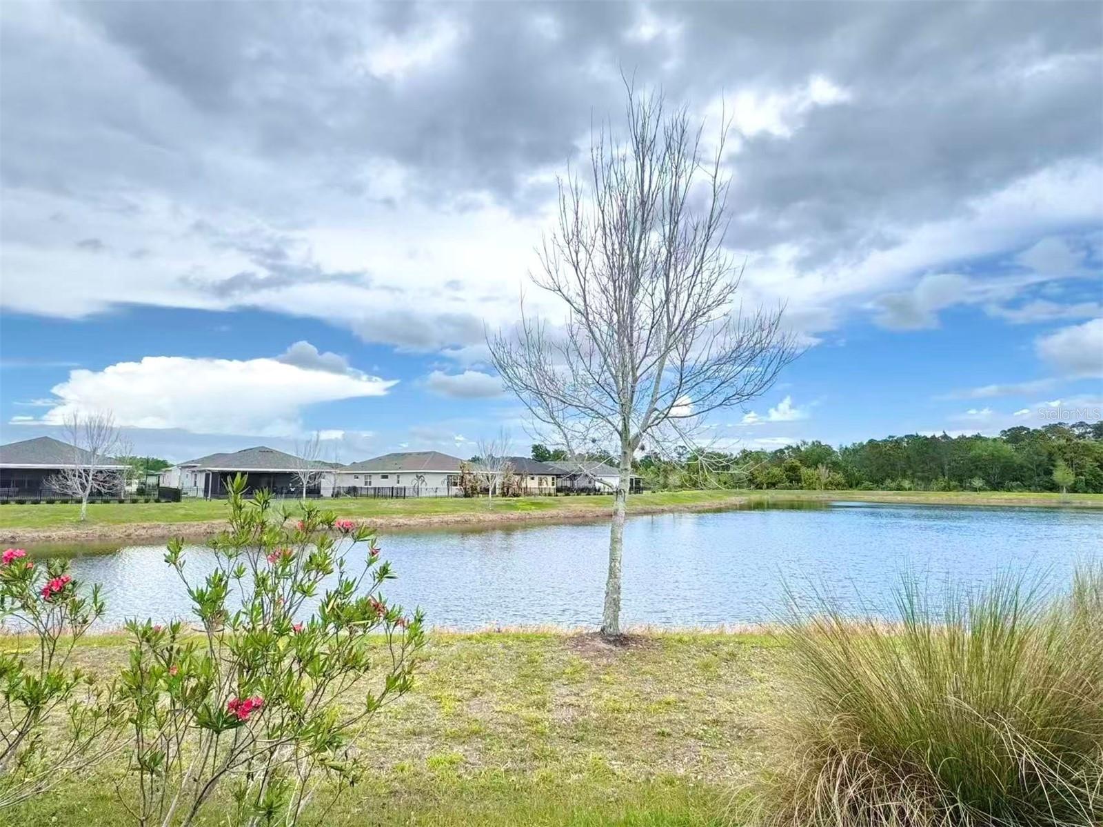 3434 Sagebrush Street, FL