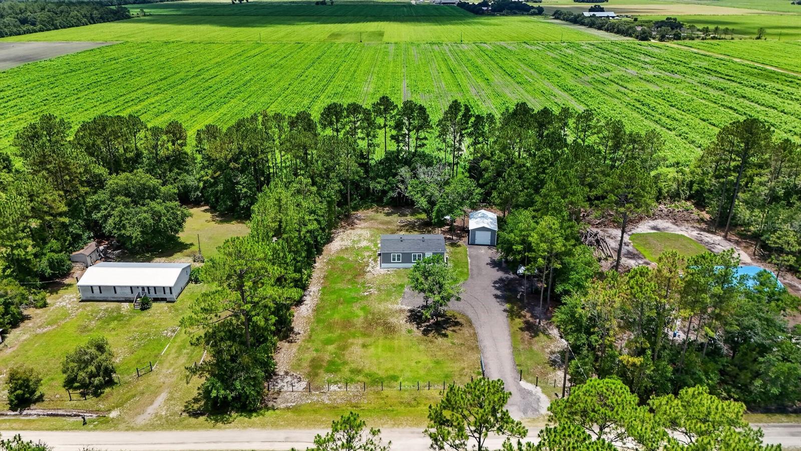 BUNNELL, FL
