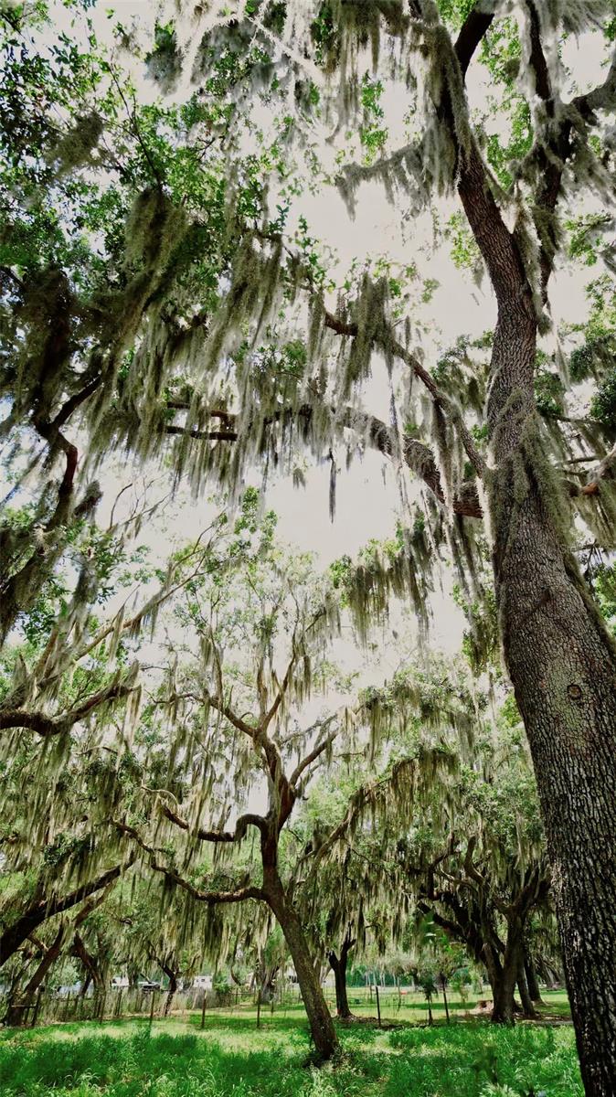 Parkway Avenue, FL