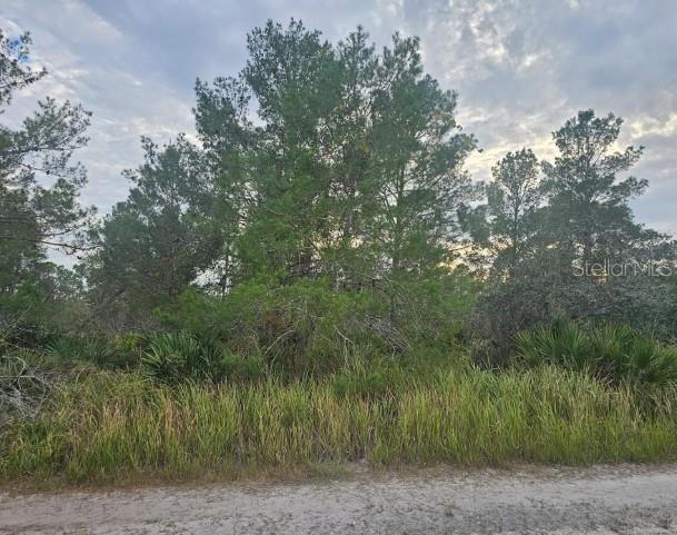 2217 Algonquin Drive, FL