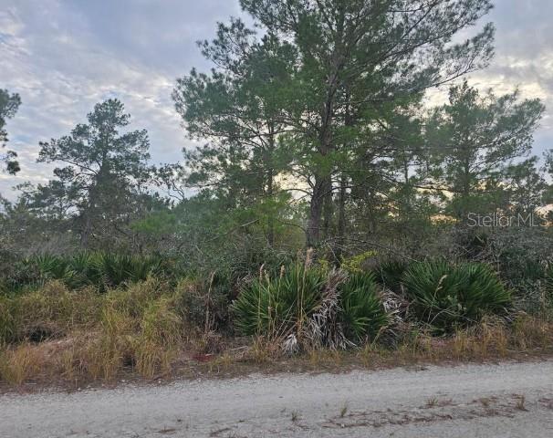 2225 Algonquin Drive, FL