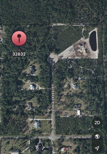 13114 Lacebark Pine Road, FL