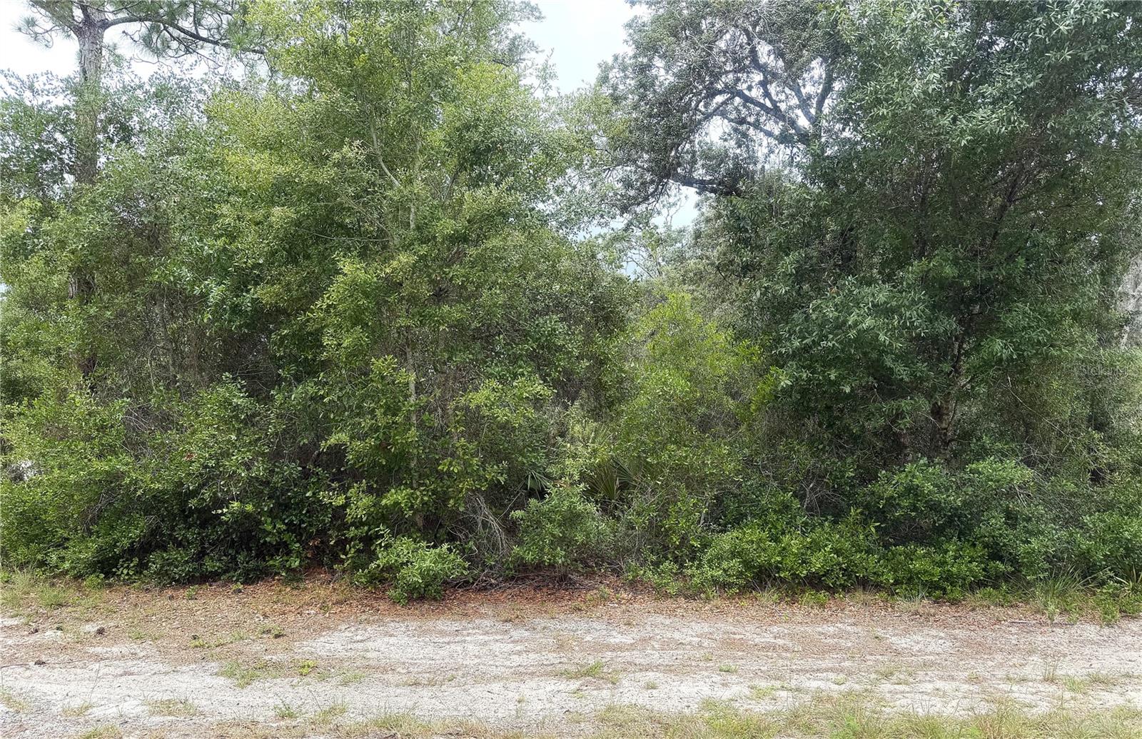359 Coolidge Avenue, FL