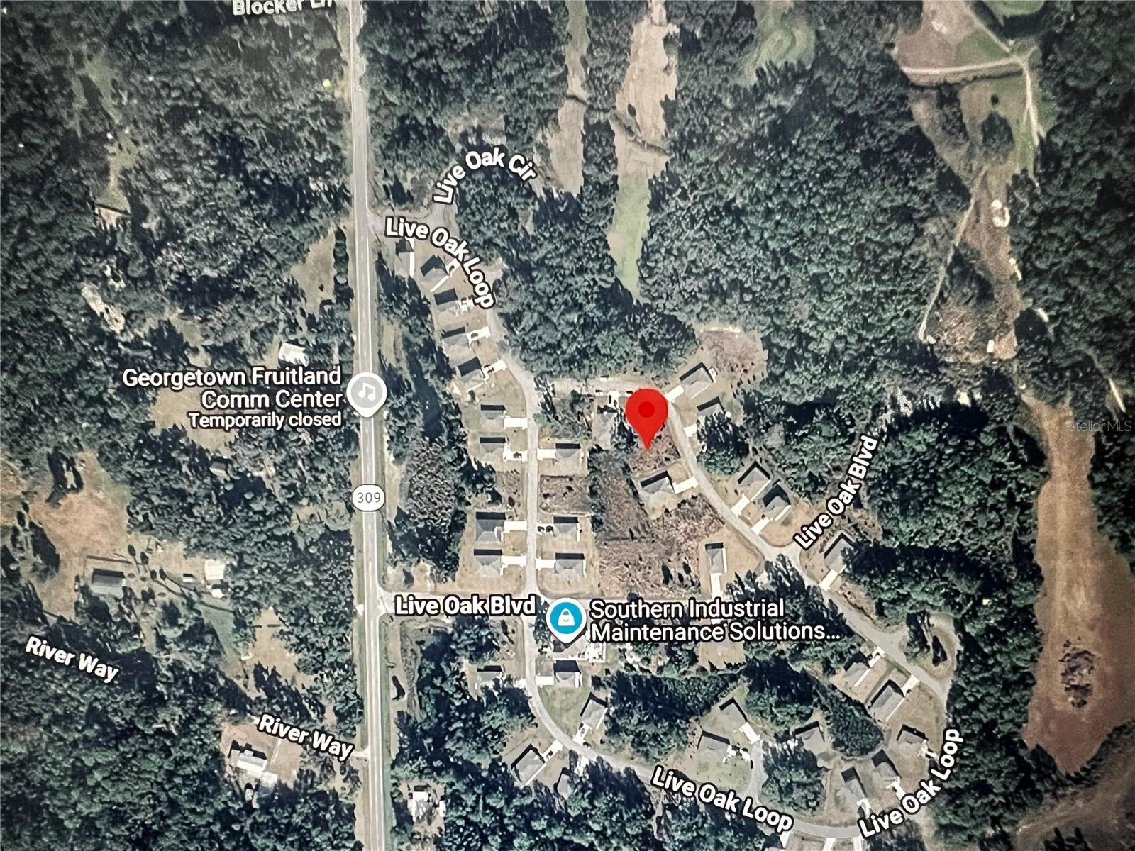 260 Live Oak Loop, FL